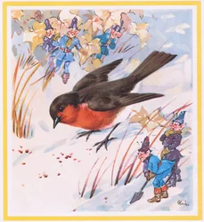 Robin